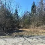 Timberline Estates Land